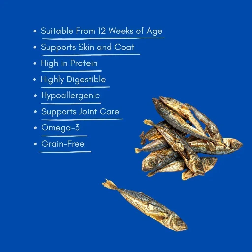 Dried sprats dog and cat treats with health benefits list on blue background, House Of PDB