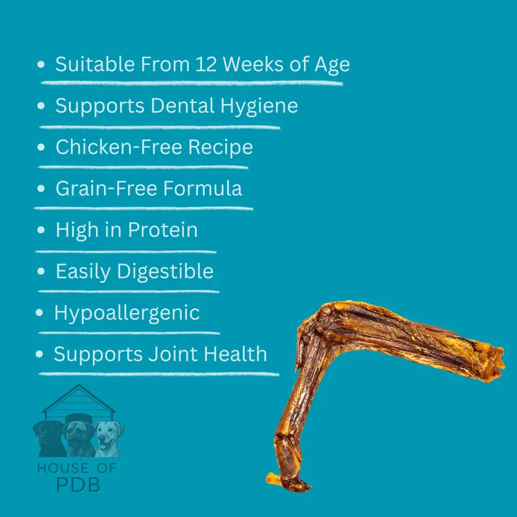 Duck wing dog treat on blue background with benefits like grain-free, hypoallergenic, supports dental and joint health