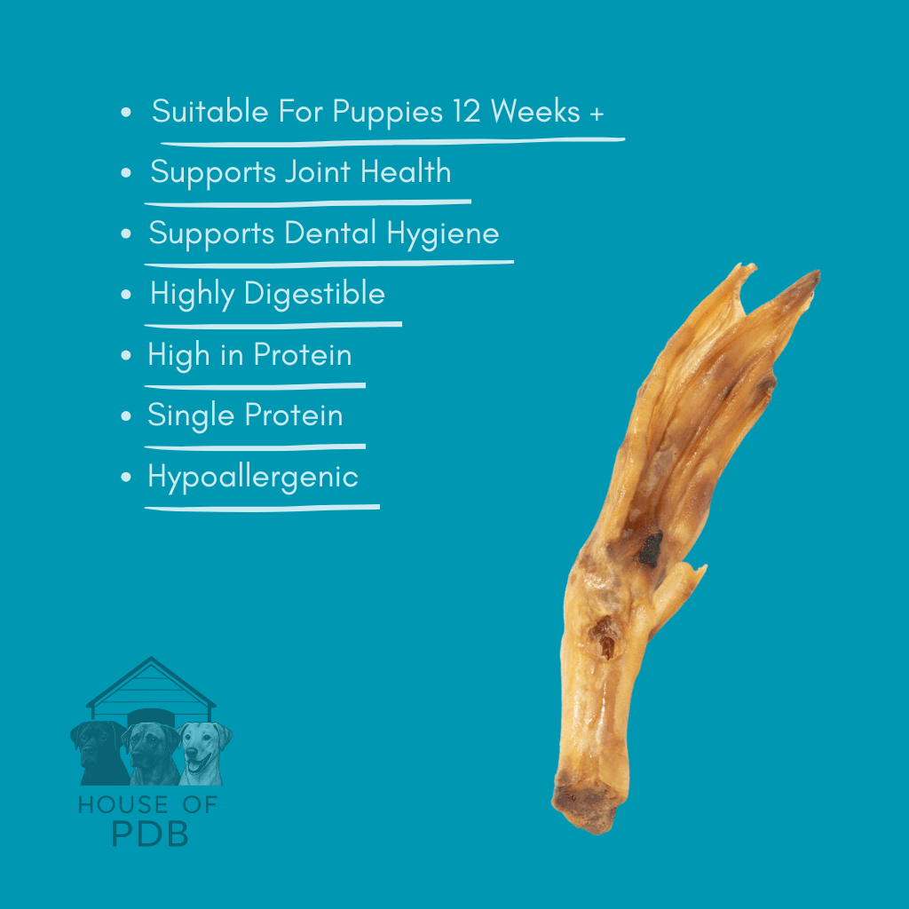 Duck Feet - House Of PDB