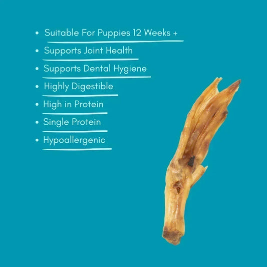 Natural dried duck foot dog treat with health benefits listed on blue background