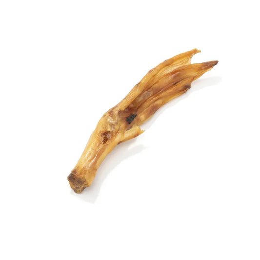 Natural dried duck foot dog treat on white background, House Of PDB pet snack