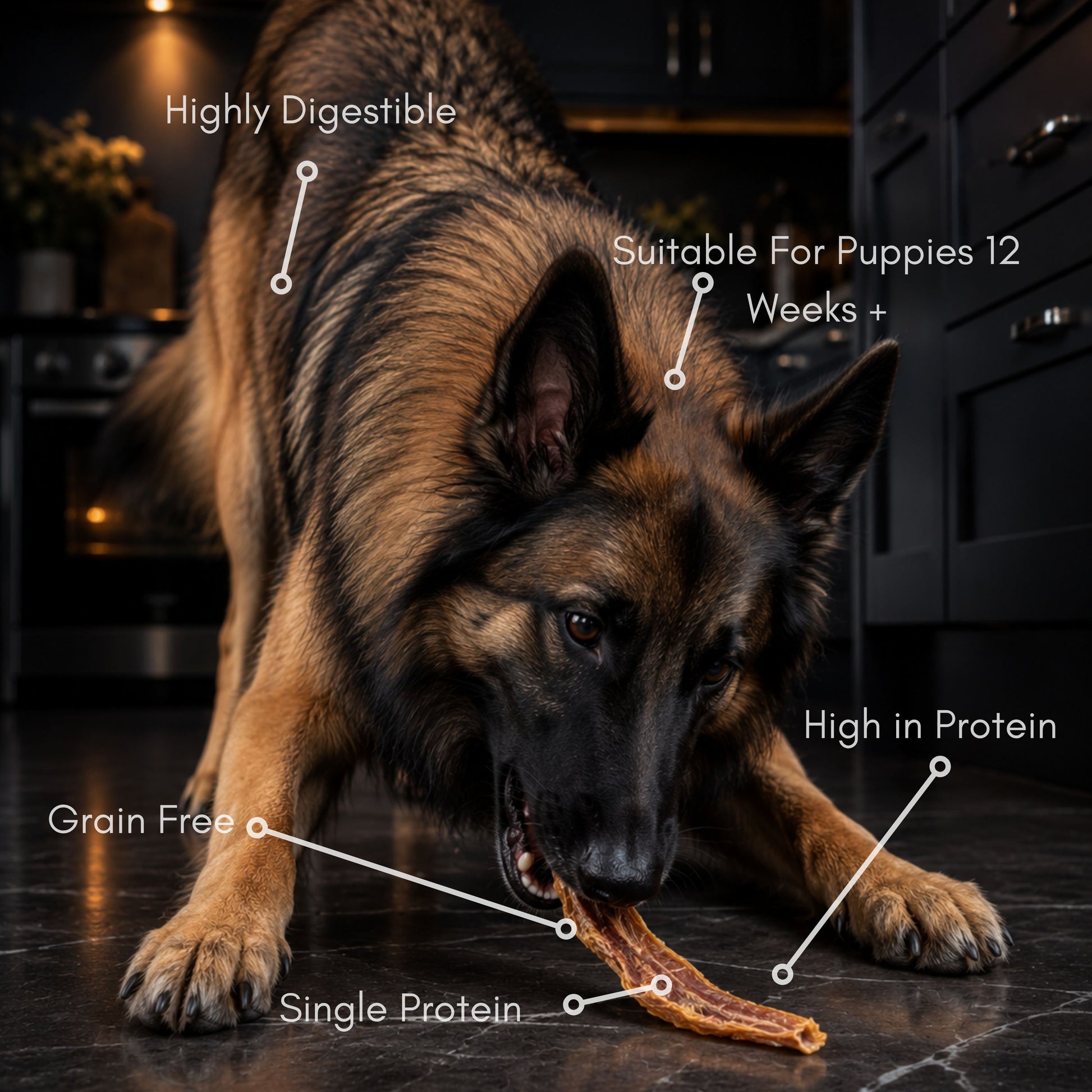 Duck Jerky 120G - House Of PDB