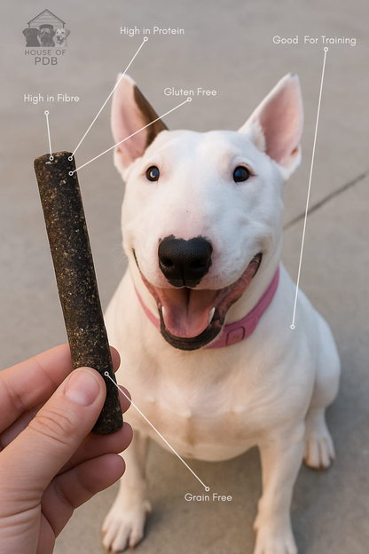 Dog waiting for a duck meaty stick dog treat treat with text labels about its nutritional benefits. 