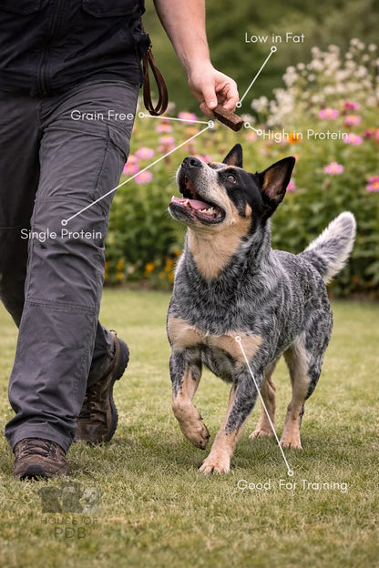 Dog running outdoors with a person on a leash, with text labels about dog food ingredients.