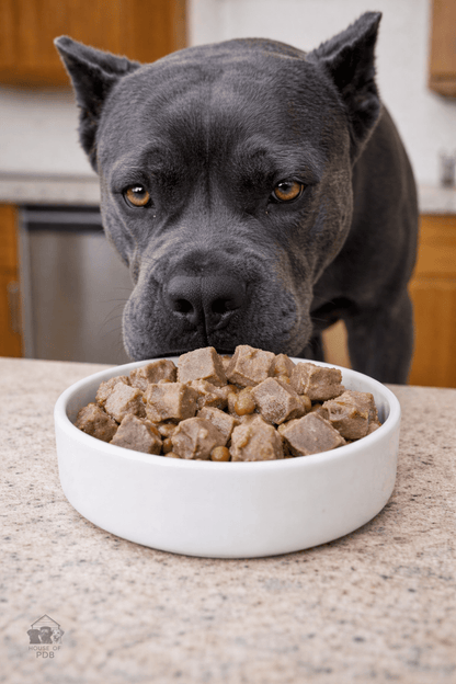 Forthglade Duck & Potato Wet Dog Food - House Of PDB