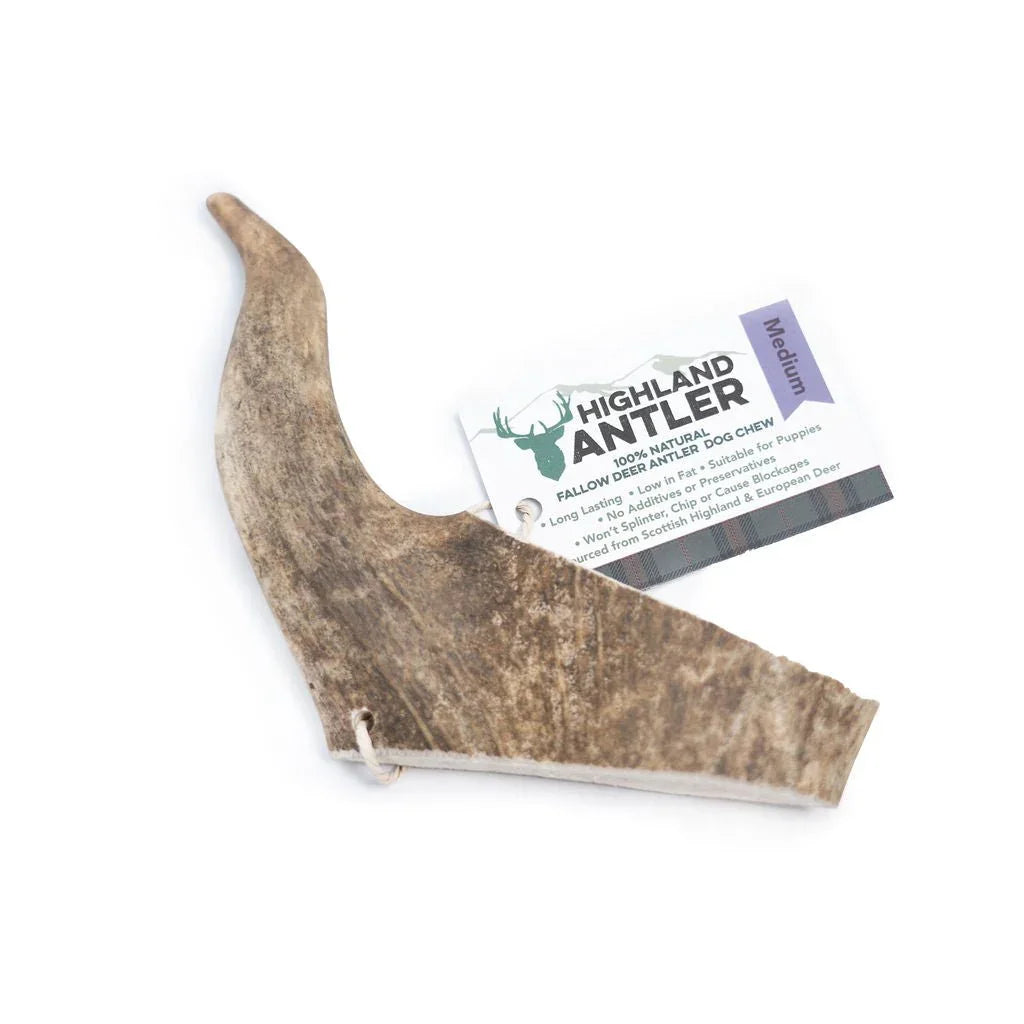 Natural medium fallow deer antler dog chew by Highland Antler with natural durable texture