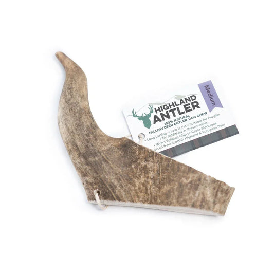 Natural medium fallow deer antler dog chew by Highland Antler with natural durable texture