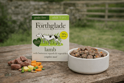 Forthglade Lamb & Butternut Squash Wet Dog Food - House Of PDB