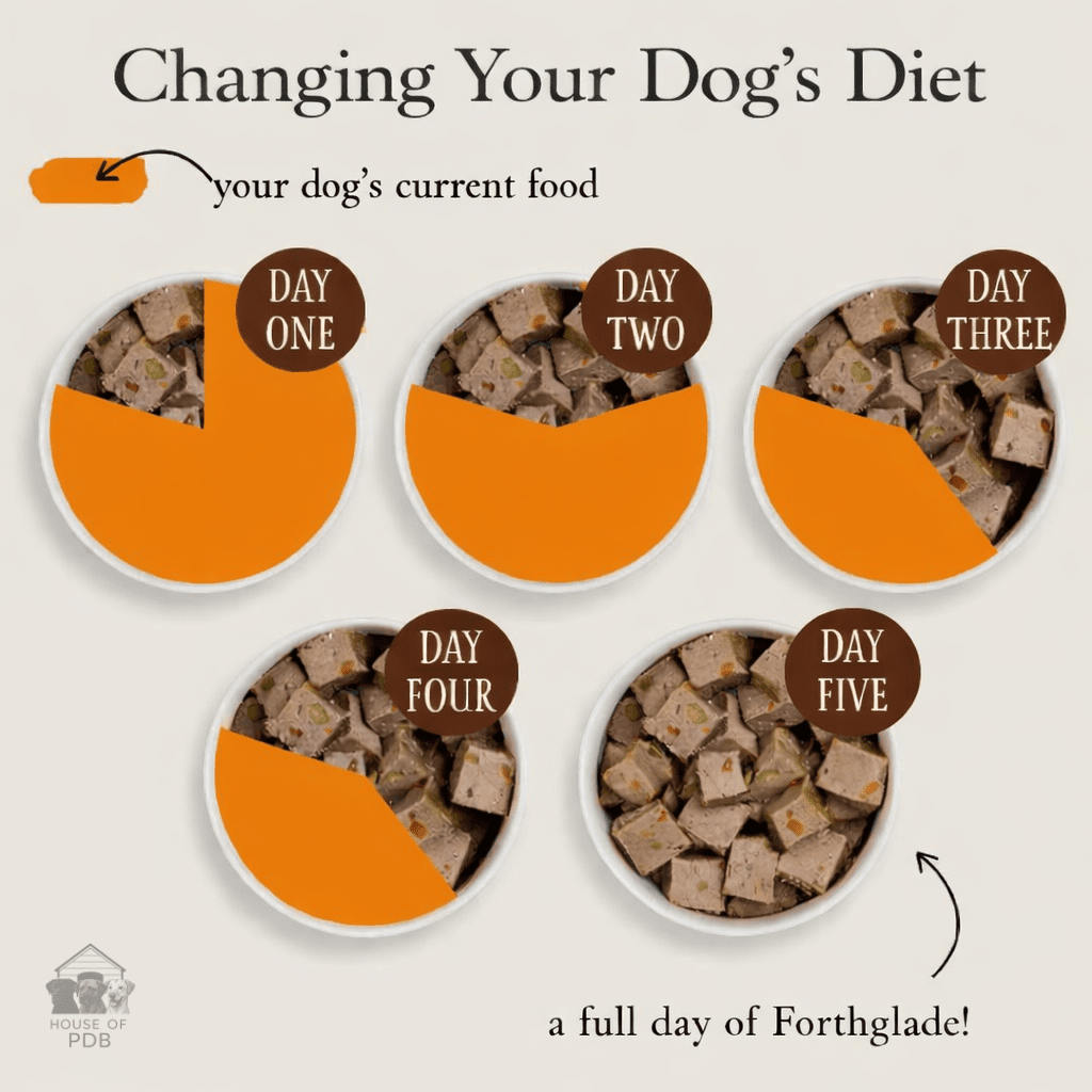 Forthglade Lamb & Butternut Squash Wet Dog Food - House Of PDB