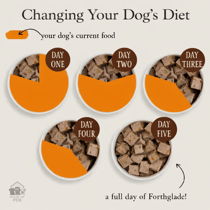 Forthglade Duck & Potato Wet Dog Food - House Of PDB