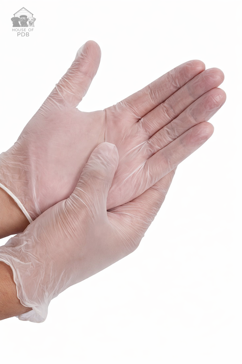 Pair of clear vinyl gloves on a white background