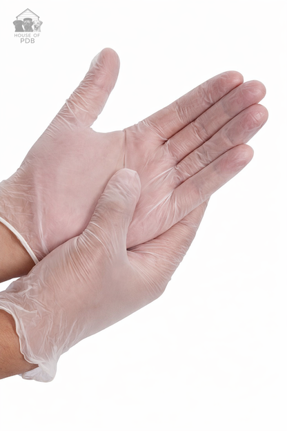 Pair of clear vinyl gloves on a white background