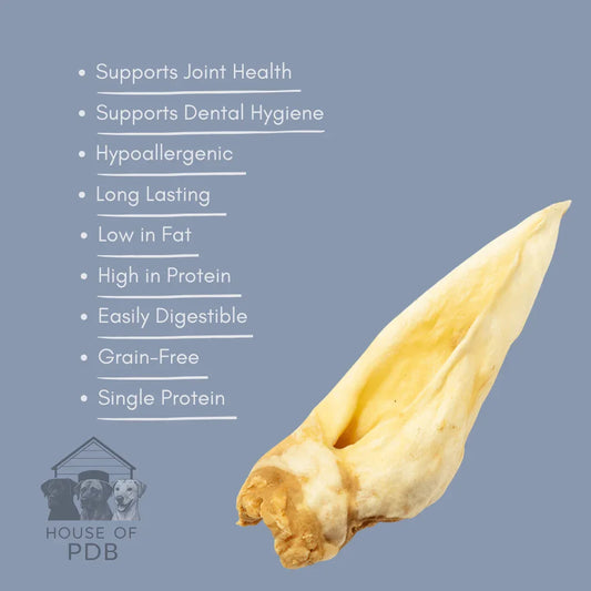 Single dried goat ear dog chew treat with benefits text on blue background