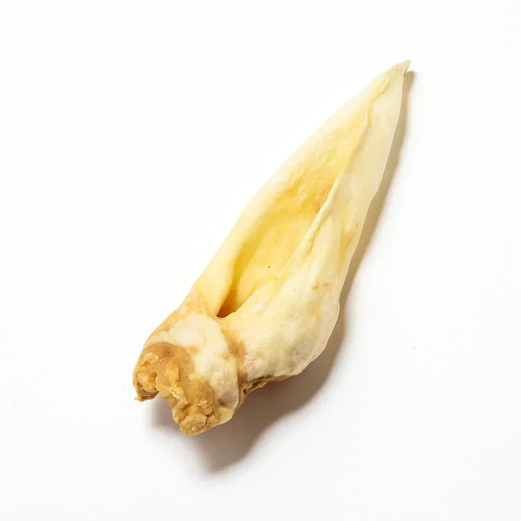 Natural dried goat ear dog treat on white background, House Of PDB pet snack