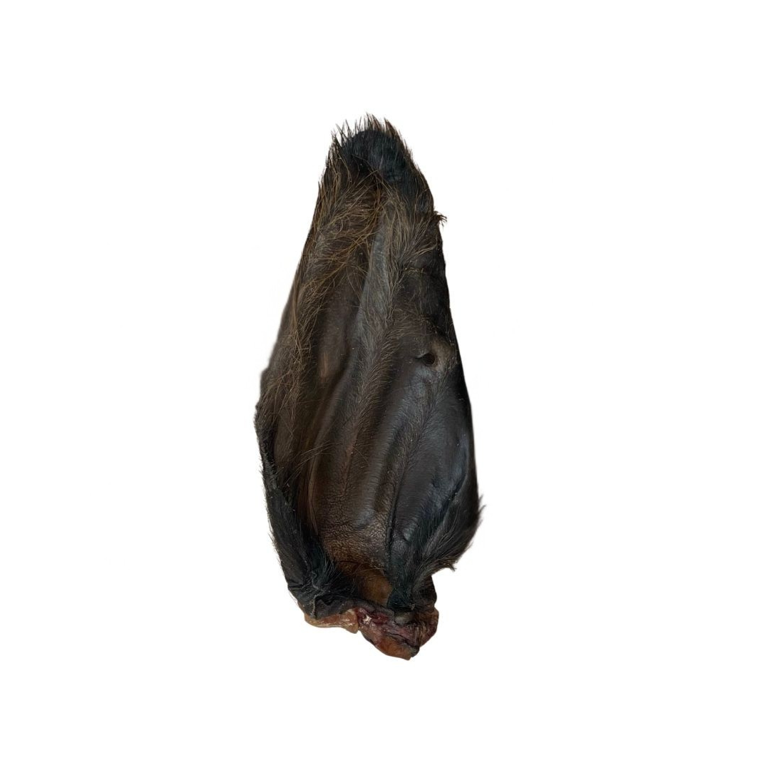 Natural hairy buffalo ears dog chew treat on a white background 