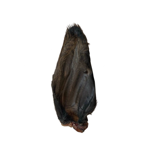 Natural hairy buffalo ears dog chew treat on a white background 