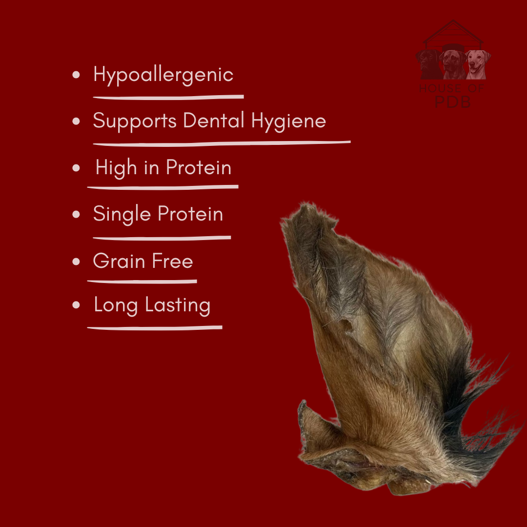 Natural hairy cow ear dog chew treat on a red background with text highlighting benefits