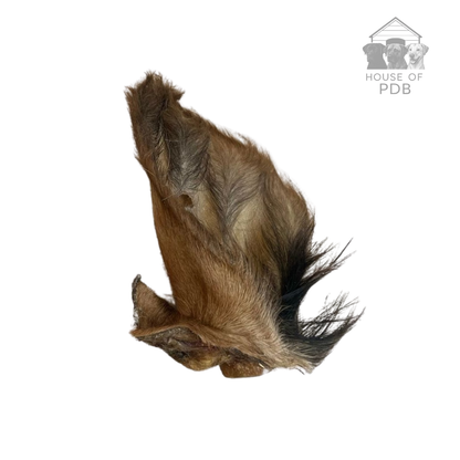 Natural hairy cow ear dog chew with company logo attached