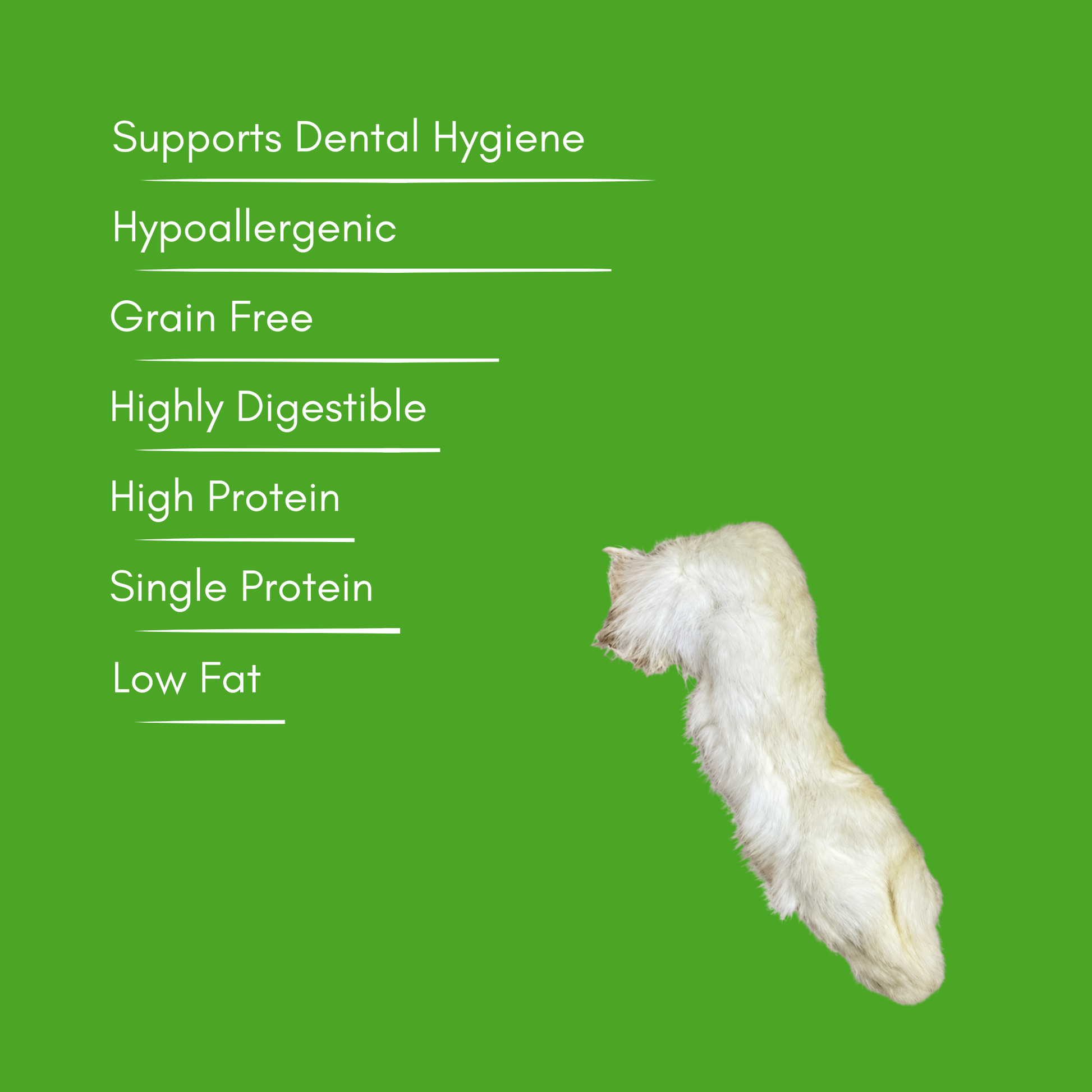 A natural hairy rabbits foot on a bright green background with white text listing benefits such as supports Dental Hygiene, Hypoallergenic, Grain Free, Highly Digestible, High Protein, Single Protein, and Low Fat.