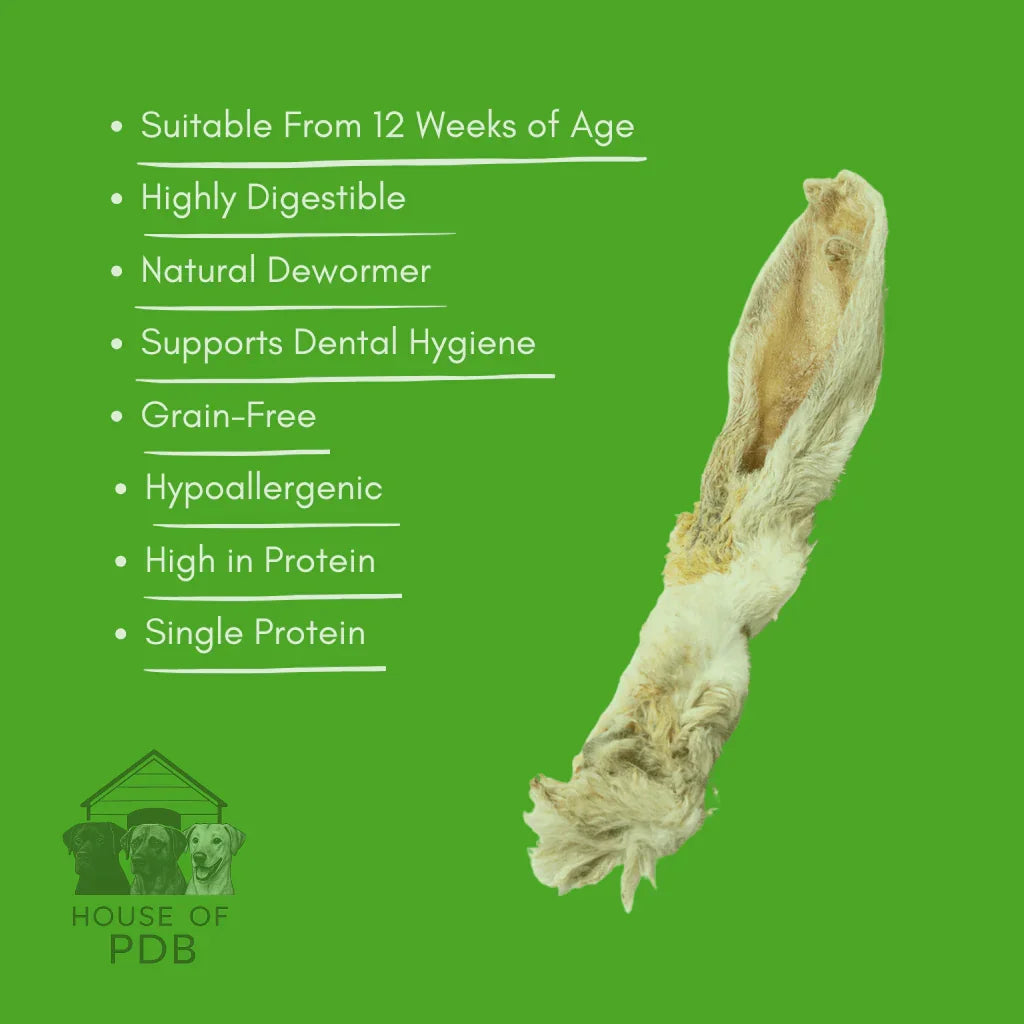 Single natural hairy rabbit ear dog chew on green background with dog care benefits text