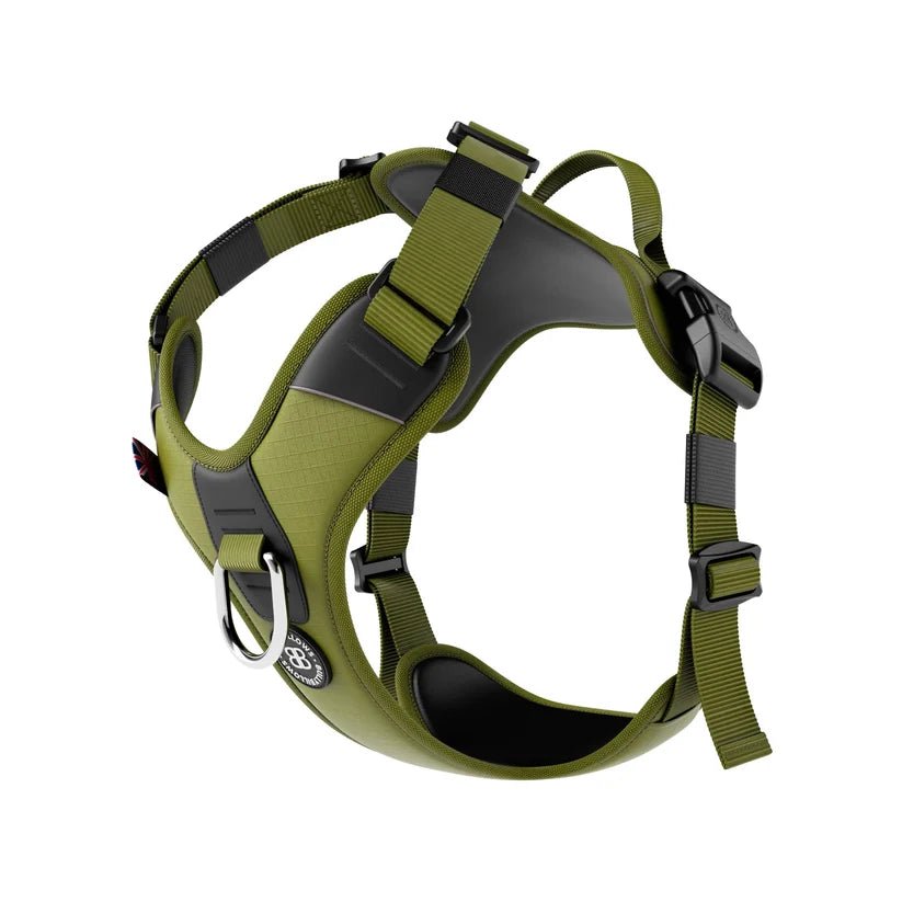 BullyBillows Hurricane Dog Harness – Durable, Reflective, Adjustable - House Of PDB