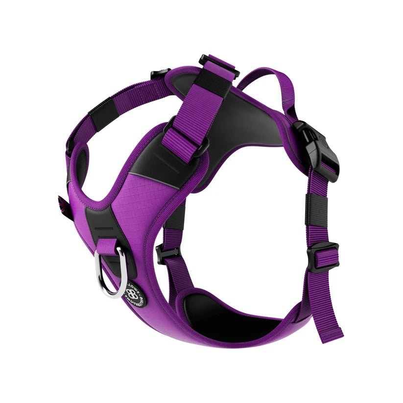 BullyBillows Hurricane Dog Harness – Durable, Reflective, Adjustable - House Of PDB