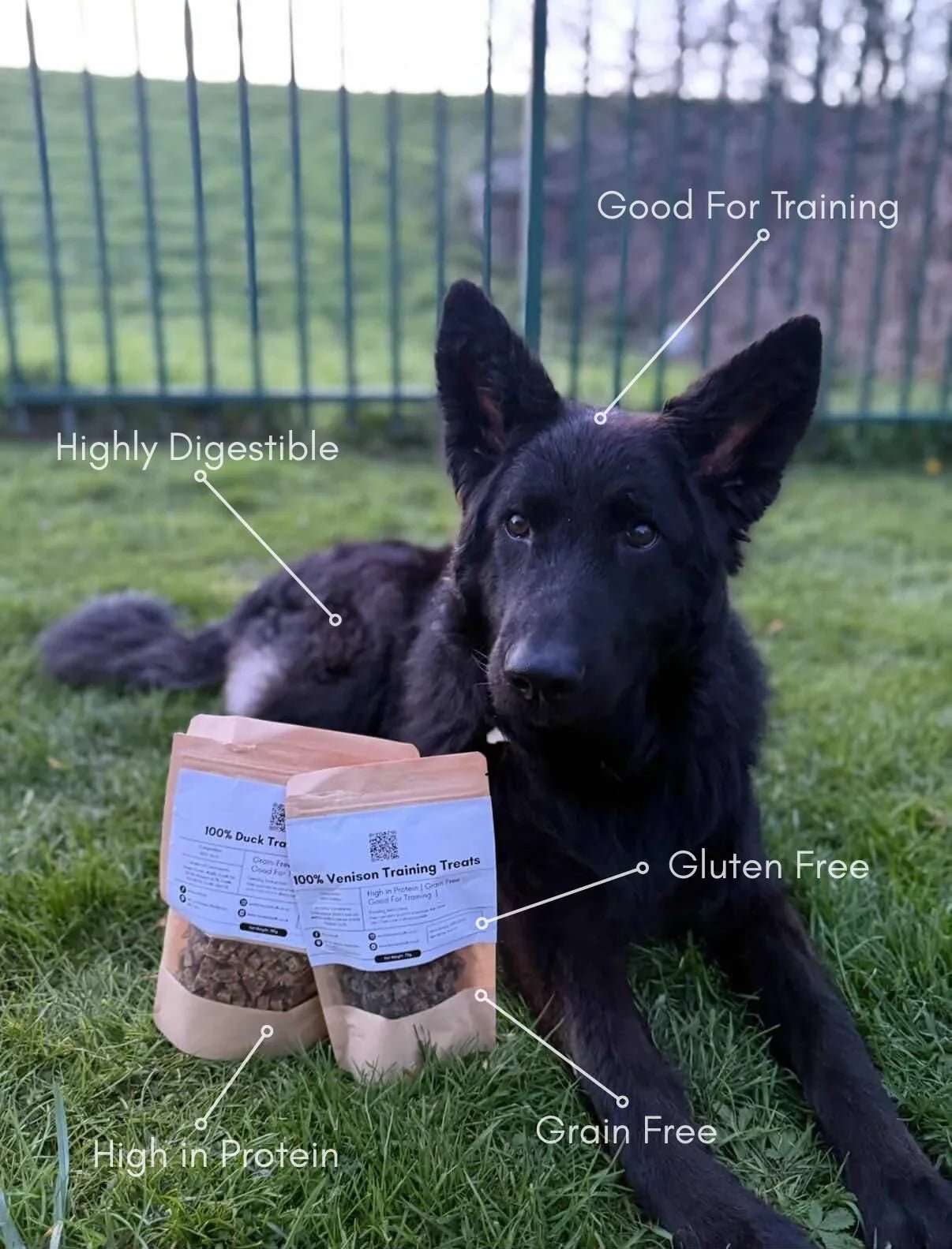 100% Venison Training Treats - House Of PDB