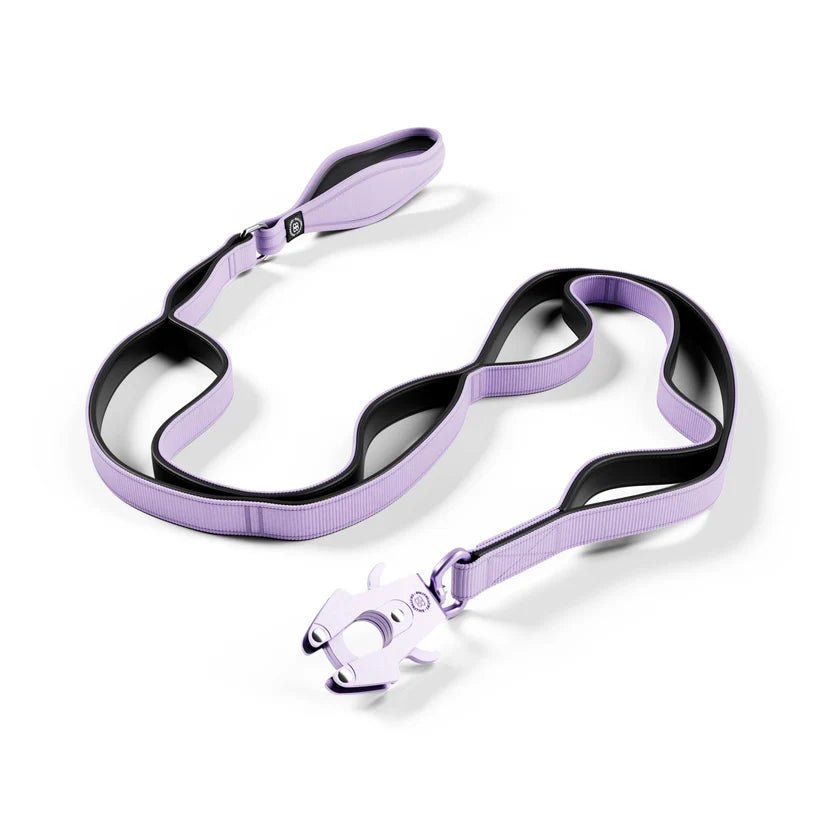 BullyBillows Ladder Lead – 1.4m Multi-Handle Dog Lead - House Of PDB