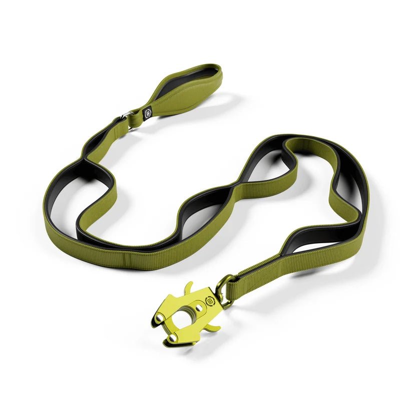 BullyBillows Ladder Lead – 1.4m Multi-Handle Dog Lead - House Of PDB