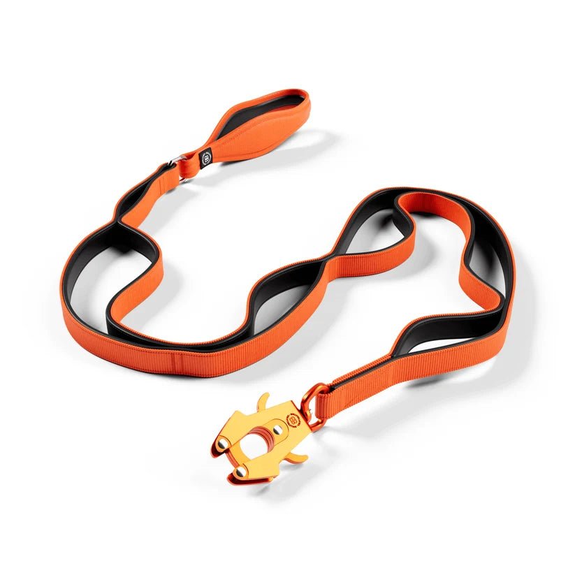 BullyBillows Ladder Lead – 1.4m Multi-Handle Dog Lead - House Of PDB