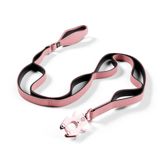 BullyBillows Ladder Lead – 1.4m Multi-Handle Dog Lead - House Of PDB