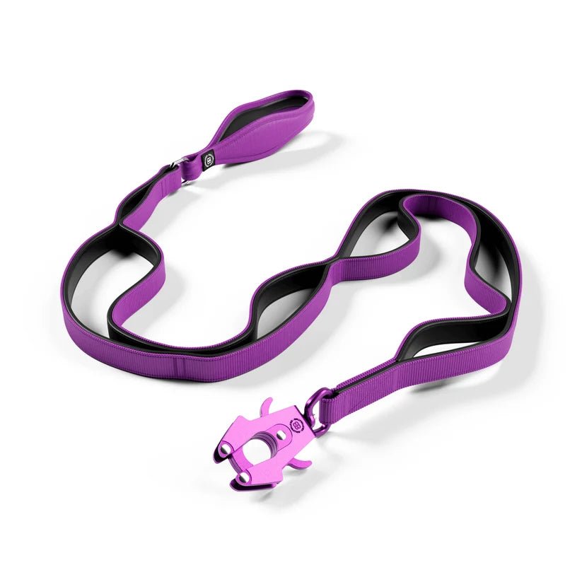 BullyBillows Ladder Lead – 1.4m Multi-Handle Dog Lead - House Of PDB