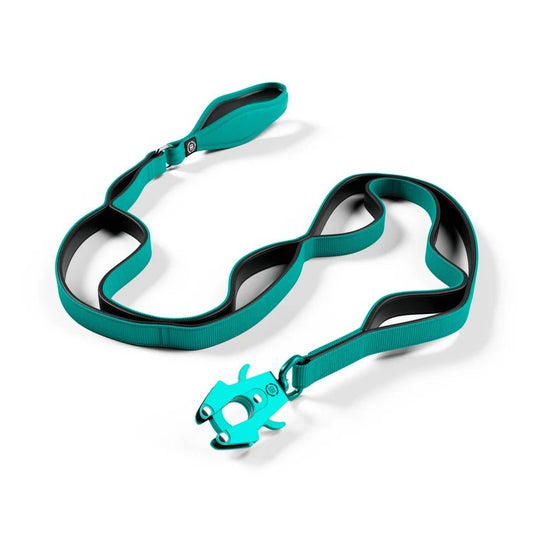 BullyBillows Ladder Lead – 1.4m Multi-Handle Dog Lead - House Of PDB