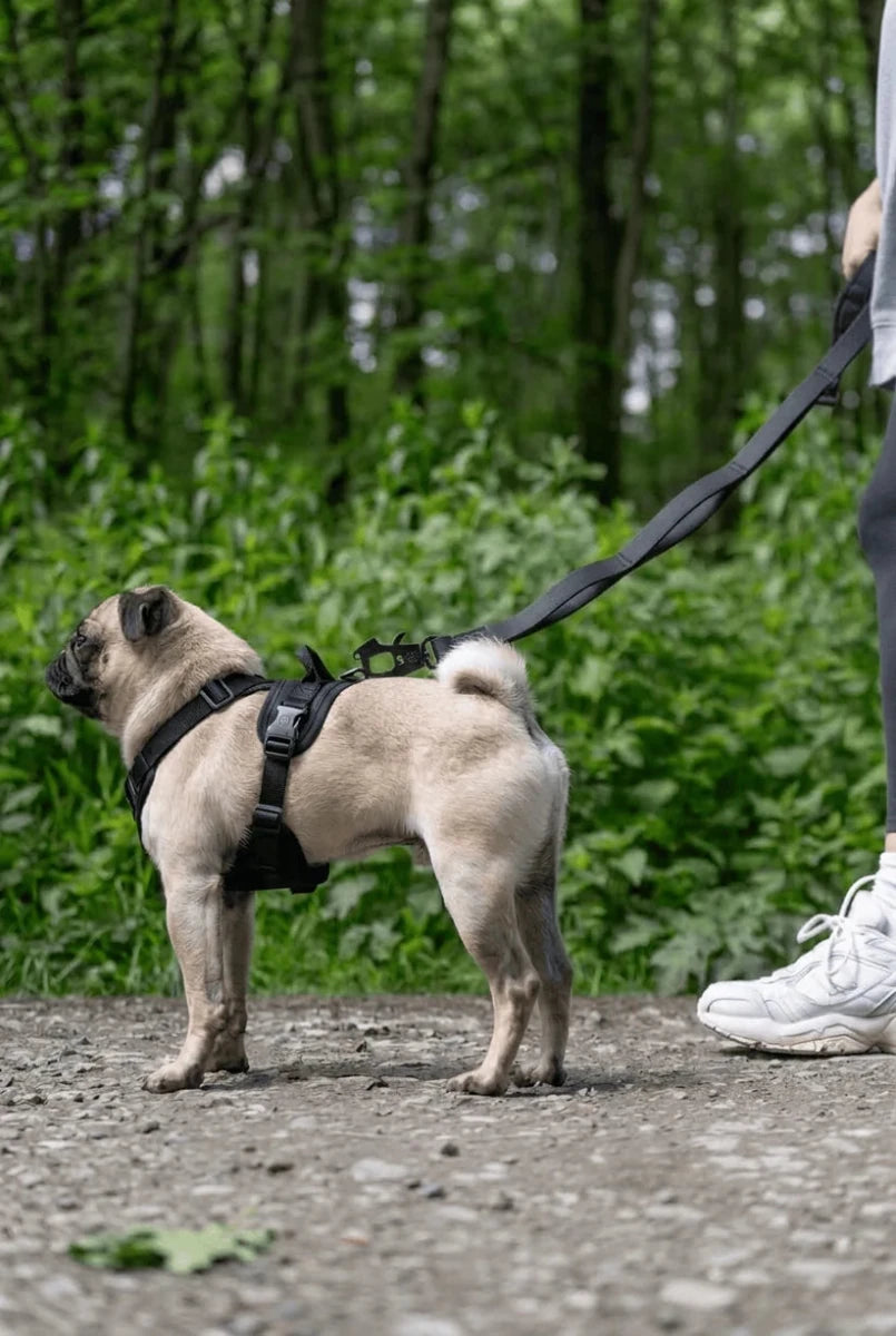 BullyBillows Billowthane® Ladder Lead – Waterproof Multi-Handle Dog Lead - House Of PDB