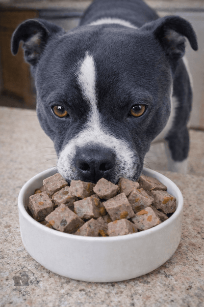 Forthglade Lamb & Butternut Squash Wet Dog Food - House Of PDB