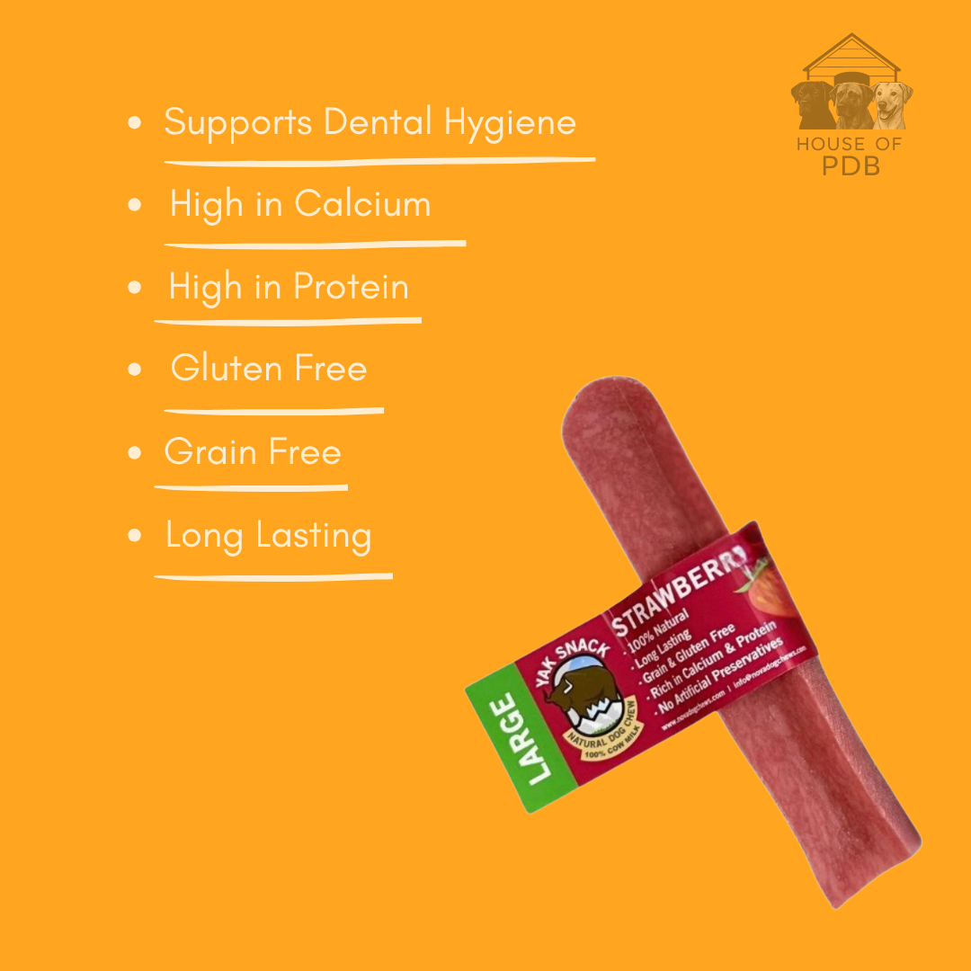 Large strawberry yak dog chew on an orange background, featuring product benefits.