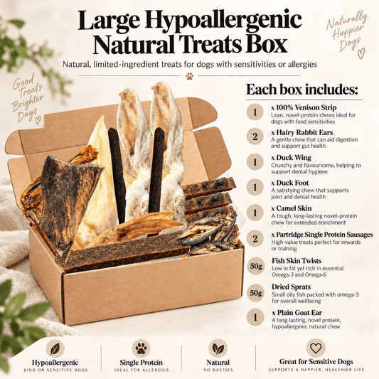 Natural Variety Box Large Hypoallergenic - House Of PDB