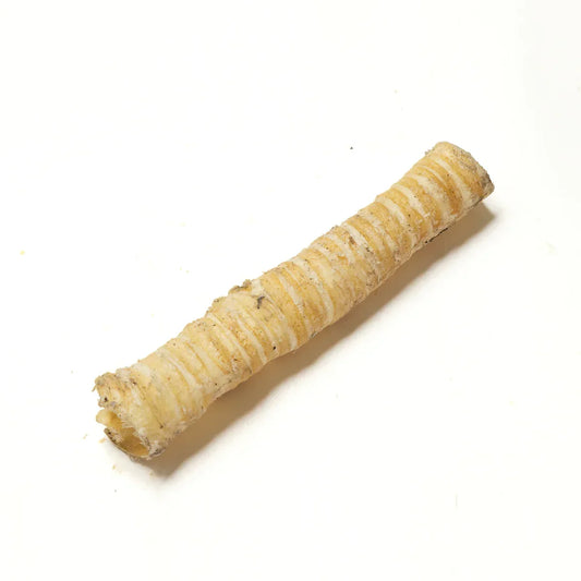beef trachea on a white background