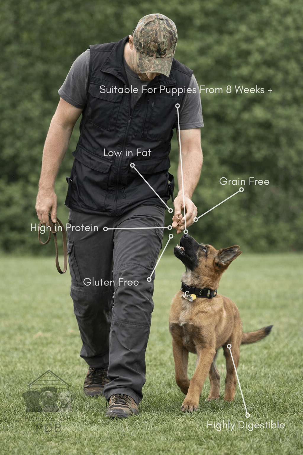 Luxury Buffalo Pâté 400g - House Of PDB