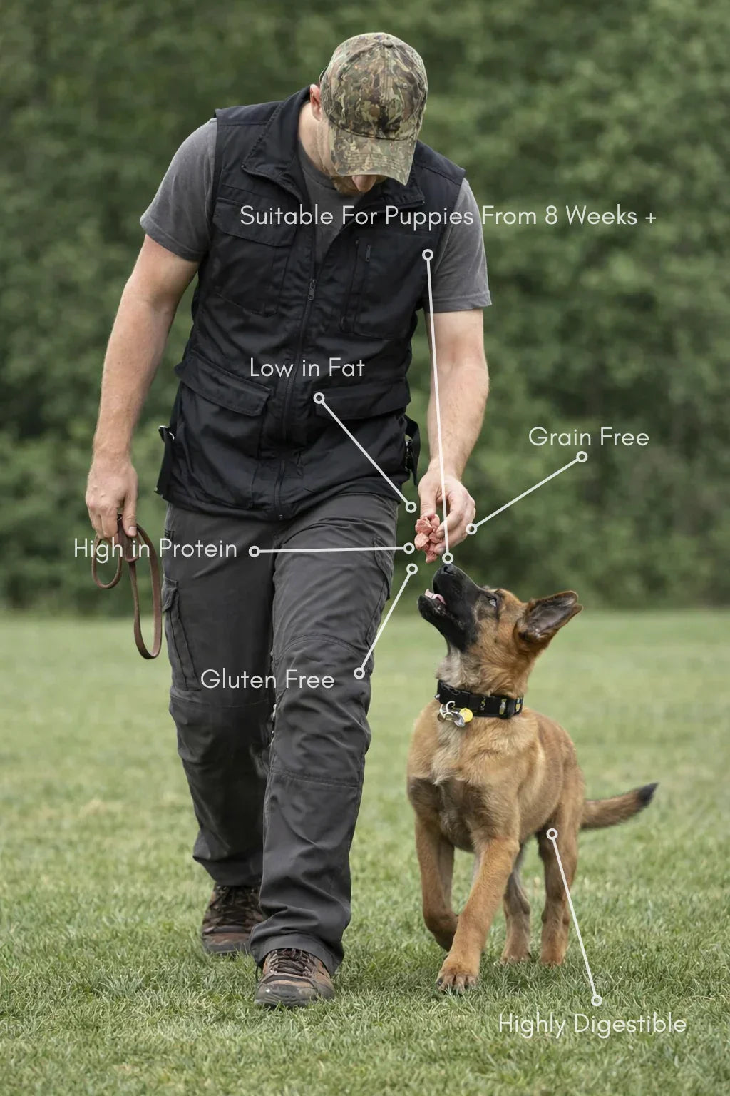 Man training puppy outdoors with House Of PDB natural dog treat highlights: grain free, gluten free, high protein, low fat, highly digestible, suitable for puppies from 8 weeks.