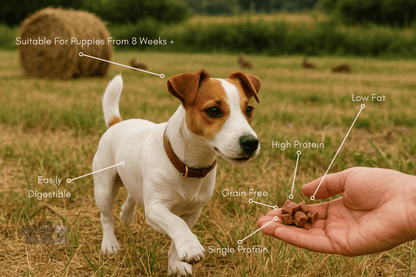 Luxury Goat Pâté 400g - House Of PDB