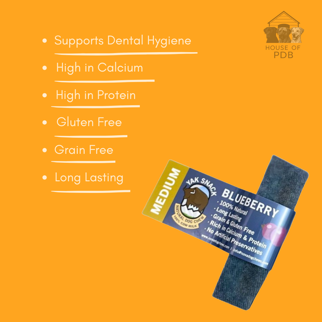 Medium blueberry yak dog chew on orange background, featuring text about product benefits.