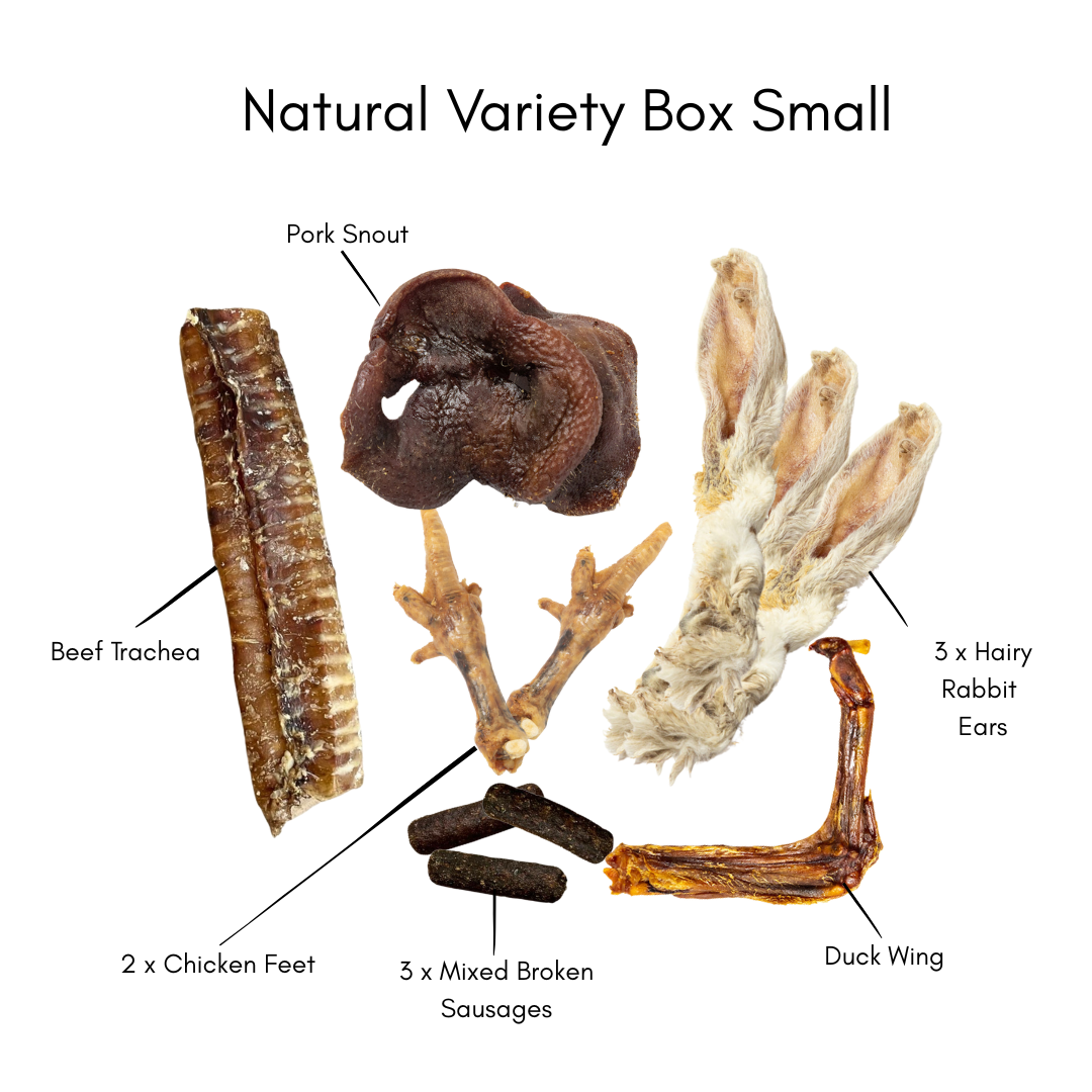 The contents of our natural variety box small collection of natural pet treats labeled with their names on a white background.