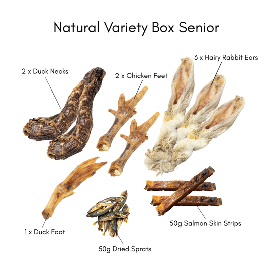 Assorted natural pet chew box with contents labelled with quantities and items on a white background
