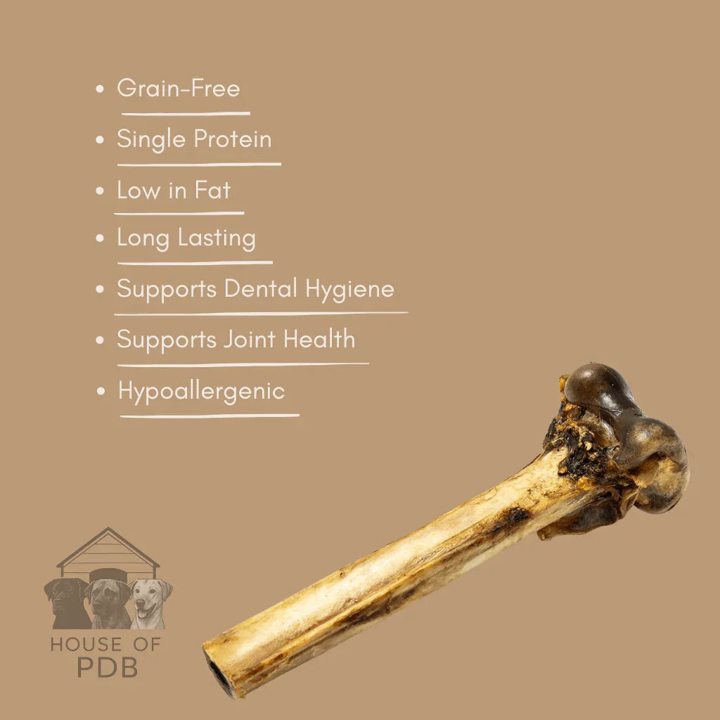 Ostrich bone dog chew on brown background with grain-free and hypoallergenic benefits listed