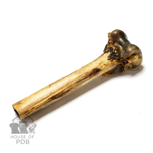 Dog chew toy made of wood and rubber on a white background with 'House of PDB' branding.