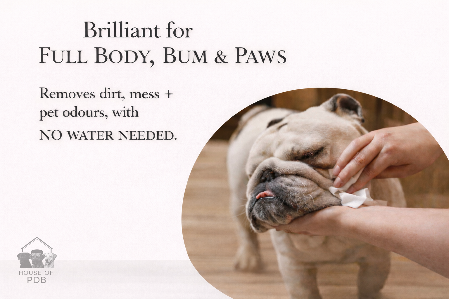 Person cleaning a dog's face with a cloth, text about product benefits on a white background