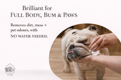 Person cleaning a dog's face with a cloth, text about product benefits on a white background