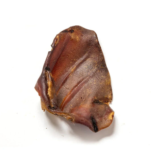 Natural dried pig ear treat for dogs and cats on a white background from House Of PDB