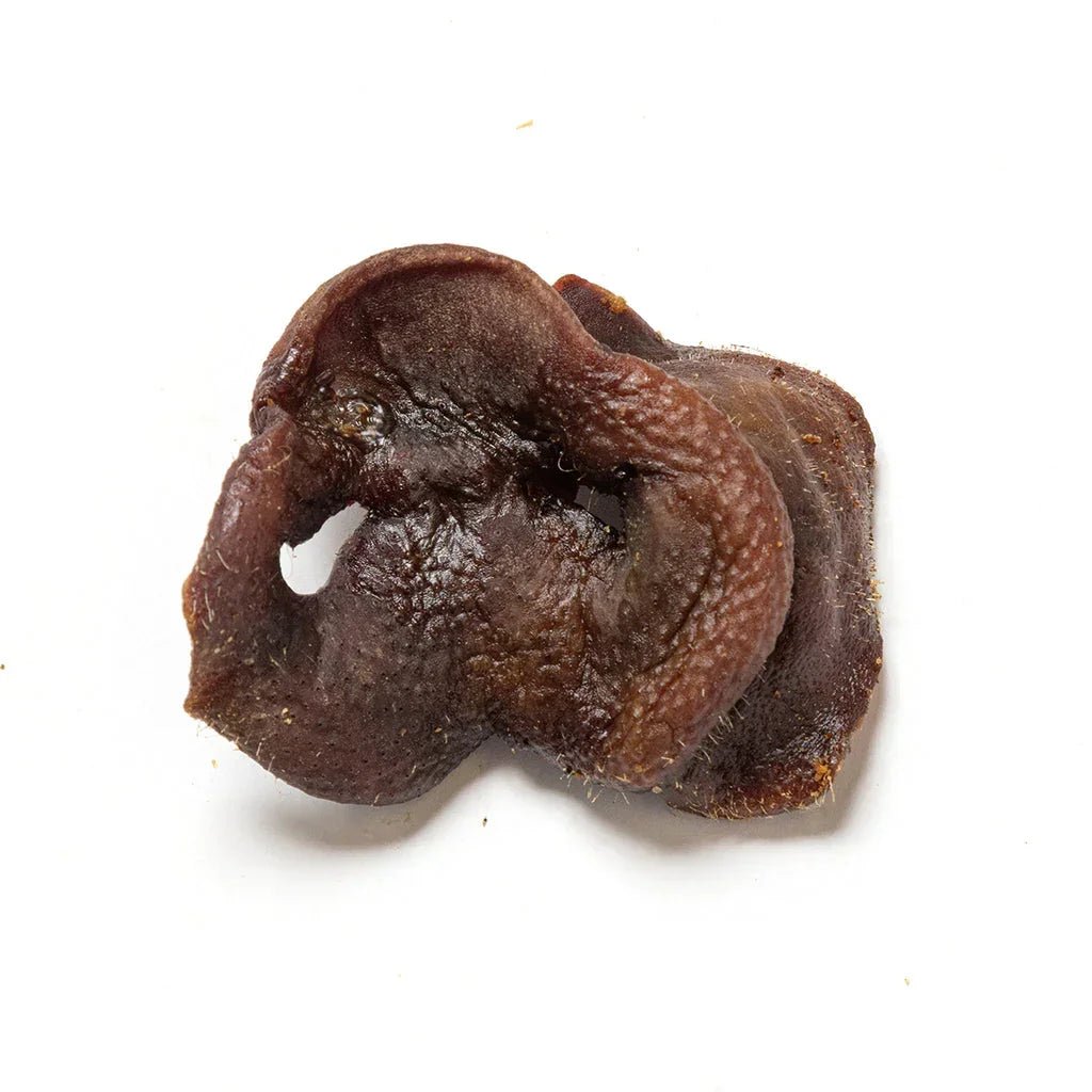 Pig Snouts - House Of PDB